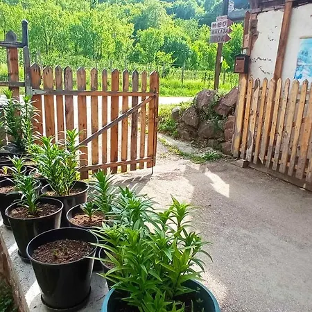 Kuca Talija