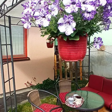 Std Kuca Talija 3* Kalna