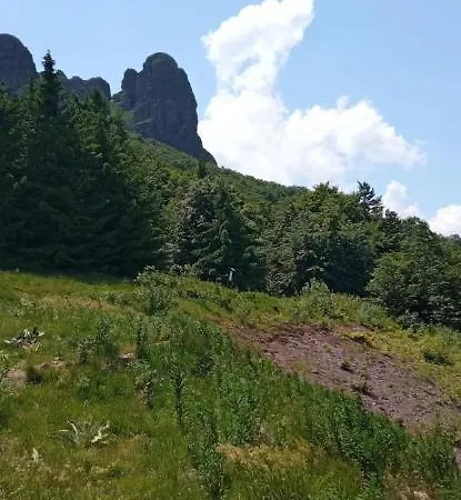 Pensionat Std Kuca Talija