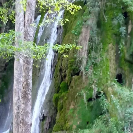 Std Kuca Talija Kalna